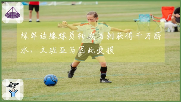 绿军边缘球员转战马刺获得千万薪水，文班亚马因此受损
