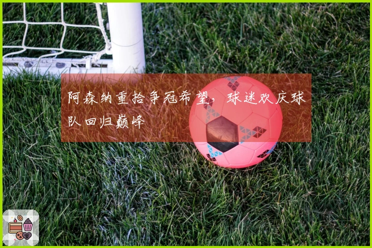 阿森纳重拾争冠希望，球迷欢庆球队回归巅峰